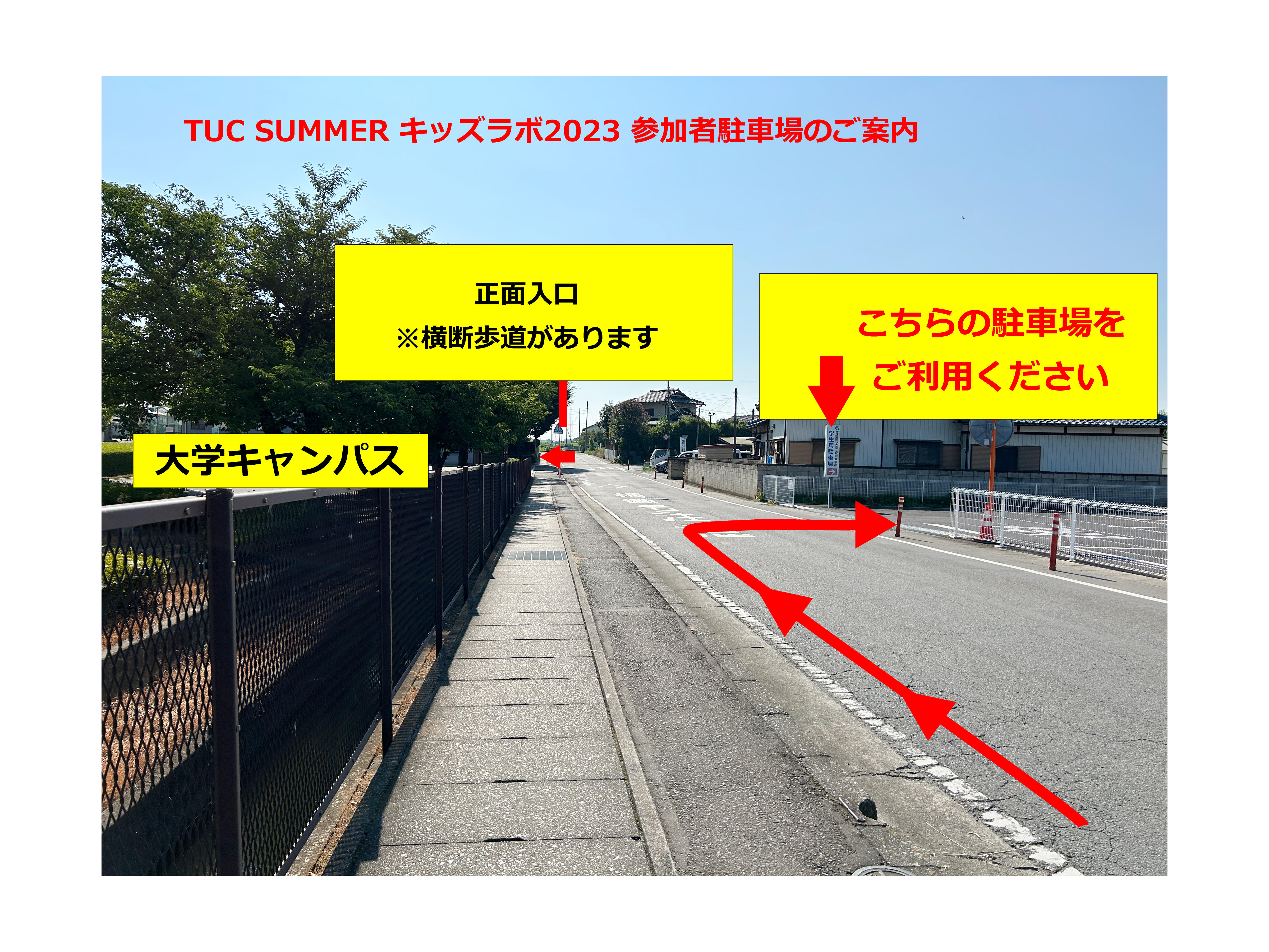 car_tuc_0806.jpg